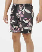 PALM BEACH VOLLEY